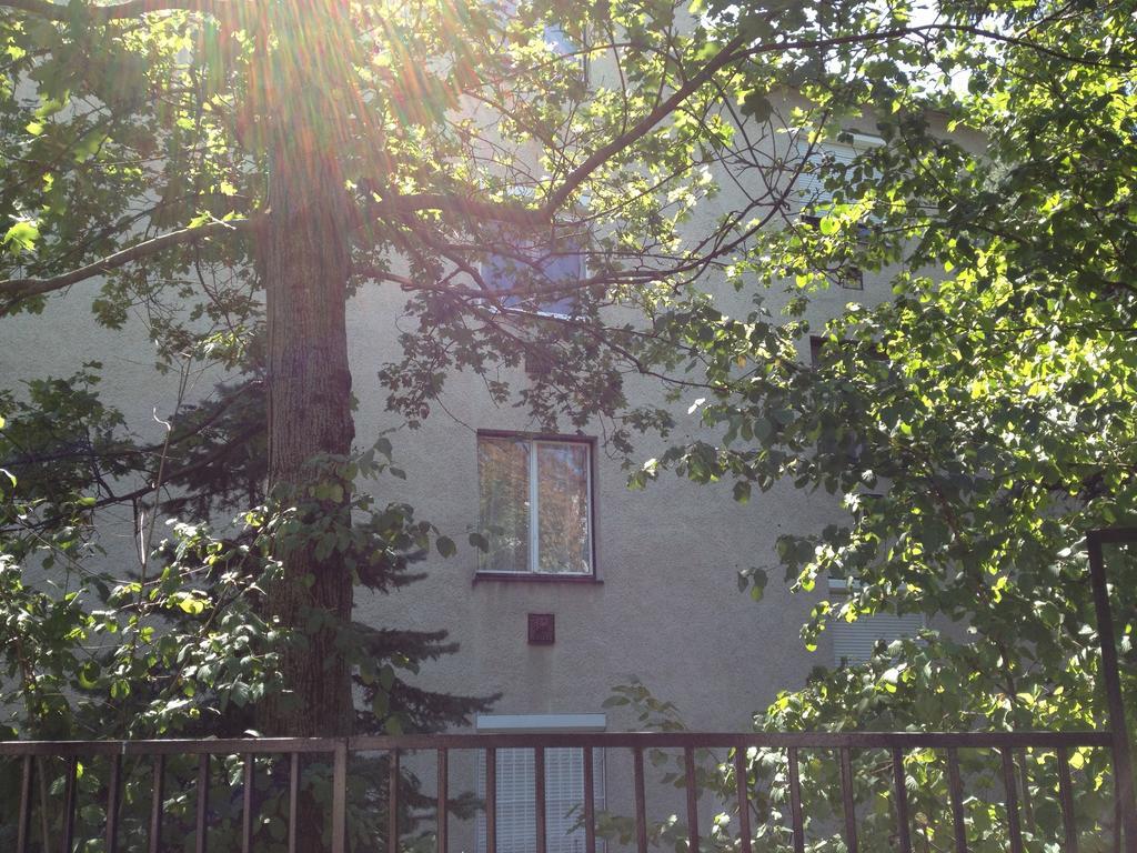 Platan Apartman Budapest Room photo